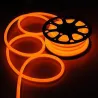 Néon flexible LED SF 220V