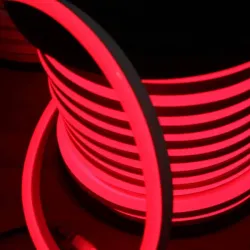 Néon flexible LED SF 220V
