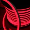 Néon flexible LED SF 220V