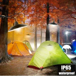 Lampe LED solaire 3W autonome