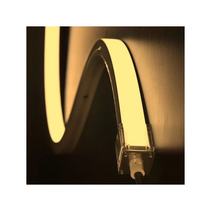 Néon flexible LED plat 12V 10mm 5 mètres