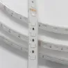 Ruban LED 48V RGB 20M