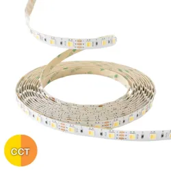 Ruban LED blanc variable chaud et froid