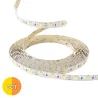 Ruban LED blanc variable chaud et froid