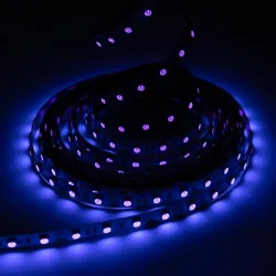 Ruban LED lumière noire led UV