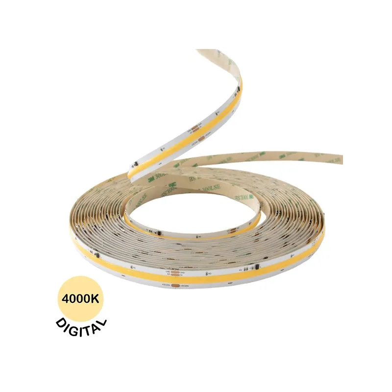 Ruban LED 24V COB Mono Digital