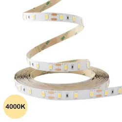 ruban led 5630 12v