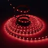 Ruban LED RGBW
