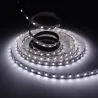 Ruban LED 12V 5050 RGB + blanc variable