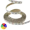 Ruban LED 12V 5050 RGB + blanc variable