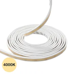 Néon flexible LED extra plat 12V 10mm 5 mètres