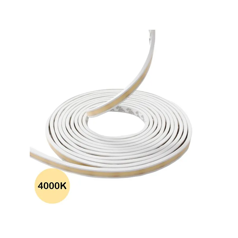 Néon flexible LED extra plat 12V 10mm 5 mètres