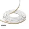 Néon flexible LED extra plat 12V 10mm 5 mètres