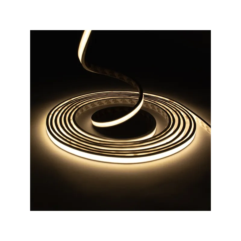 Néon flexible LED extra plat 12V 10mm 5 mètres