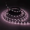 Ruban LED 12V 5050