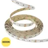 ruban led ip20