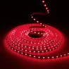 bande led 10m