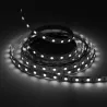 Ruban LED 24V 5050 60 led/m 10M