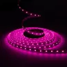 Ruban LED horticole