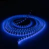 Ruban LED 12V 5050 RGB + blanc variable