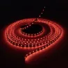 Ruban LED 12V 5050 RGB + blanc variable
