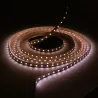 Ruban LED 12V 5050 RGB + blanc variable