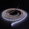 Ruban LED 12V 5050 RGB + blanc variable