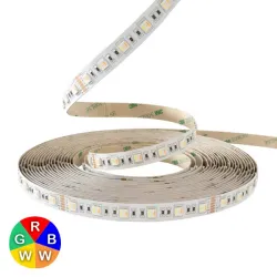 Ruban LED 12V 5050 RGB + blanc variable