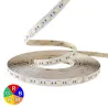 Ruban LED 12V 5050 RGB + blanc variable
