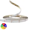 Ruban LED 12V 5050 RGB + blanc variable