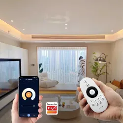 Contrôleur WIFI multizones mono & blanc variable 12A 12/24V