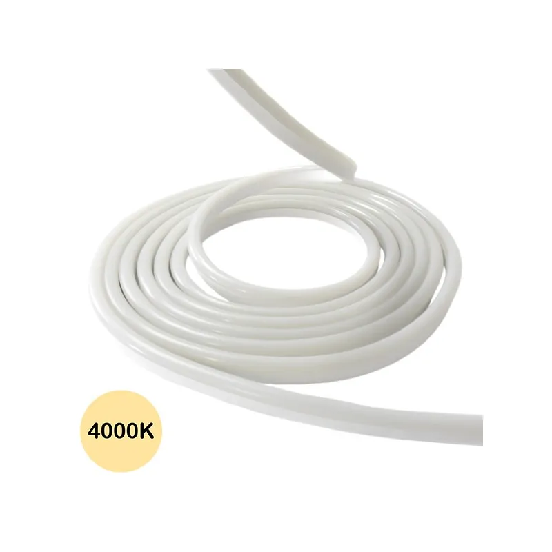Néon flexible LED SF 12V