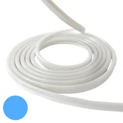 Néon flexible LED SF 12V