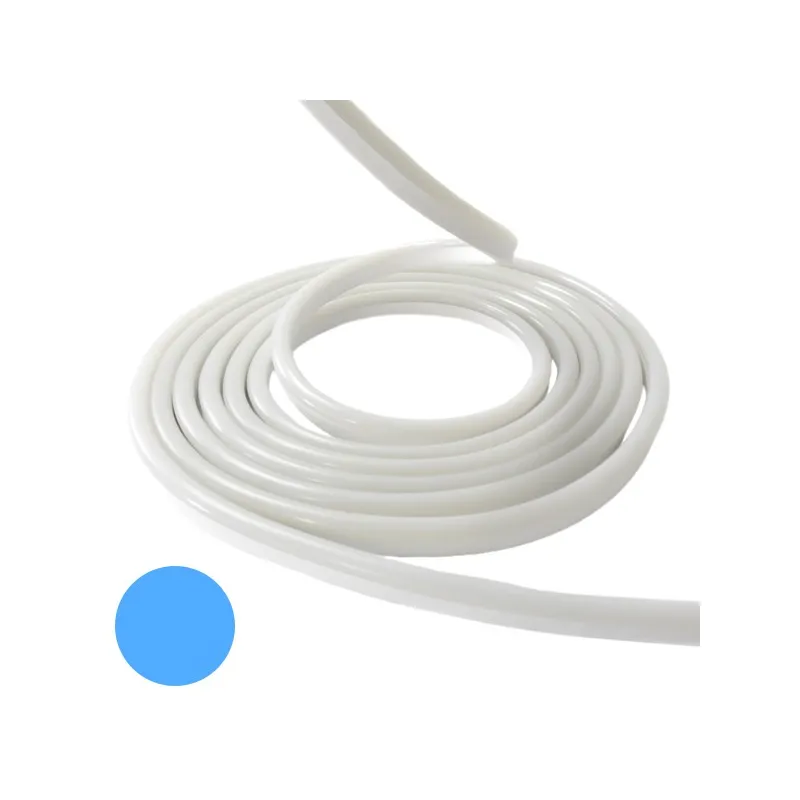 Néon flexible LED SF 12V