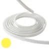 Néon flexible LED SF 12V