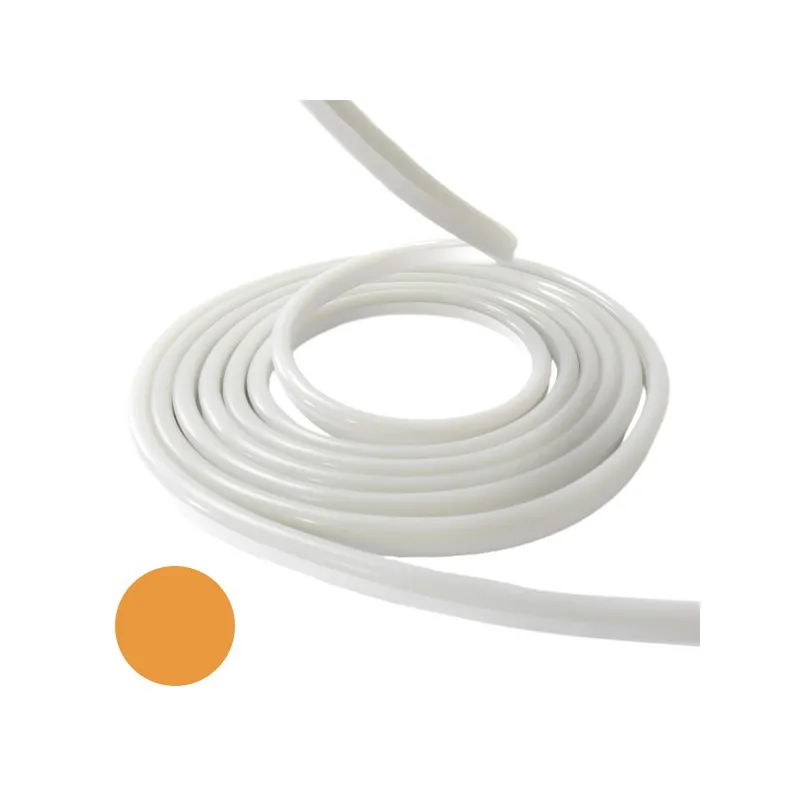 Néon flexible LED SF 12V
