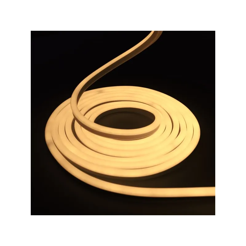 Néon flexible LED SF 12V