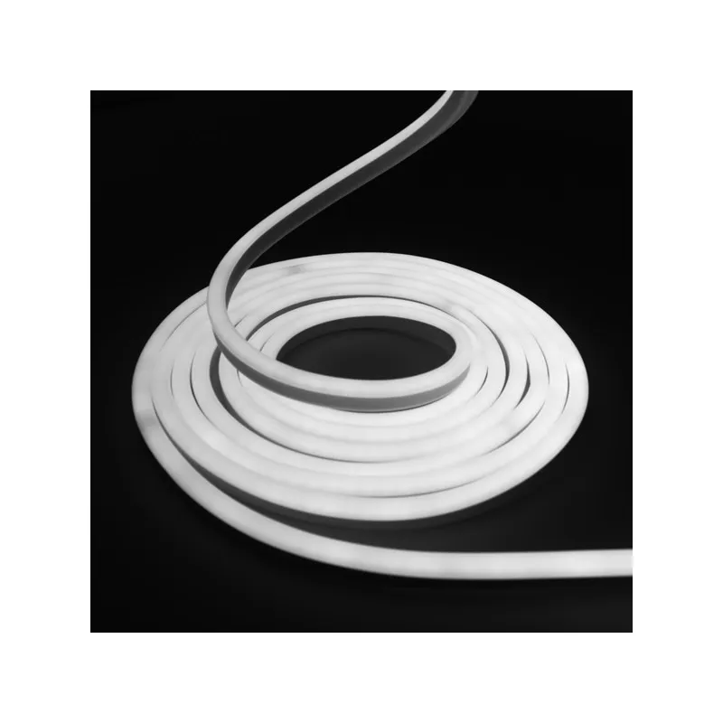 Néon flexible LED SF 12V