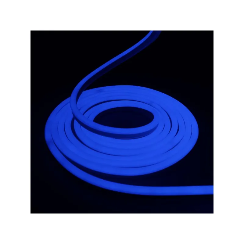 Néon flexible LED SF 12V