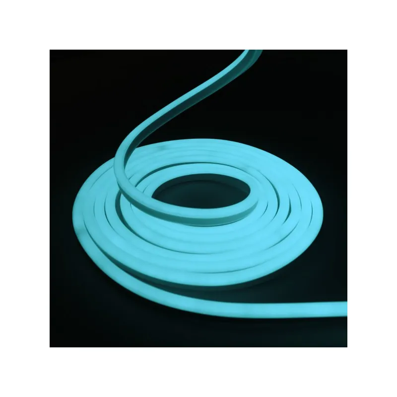 Néon flexible LED SF 12V