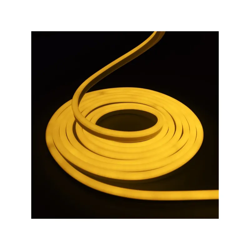 Néon flexible LED SF 12V