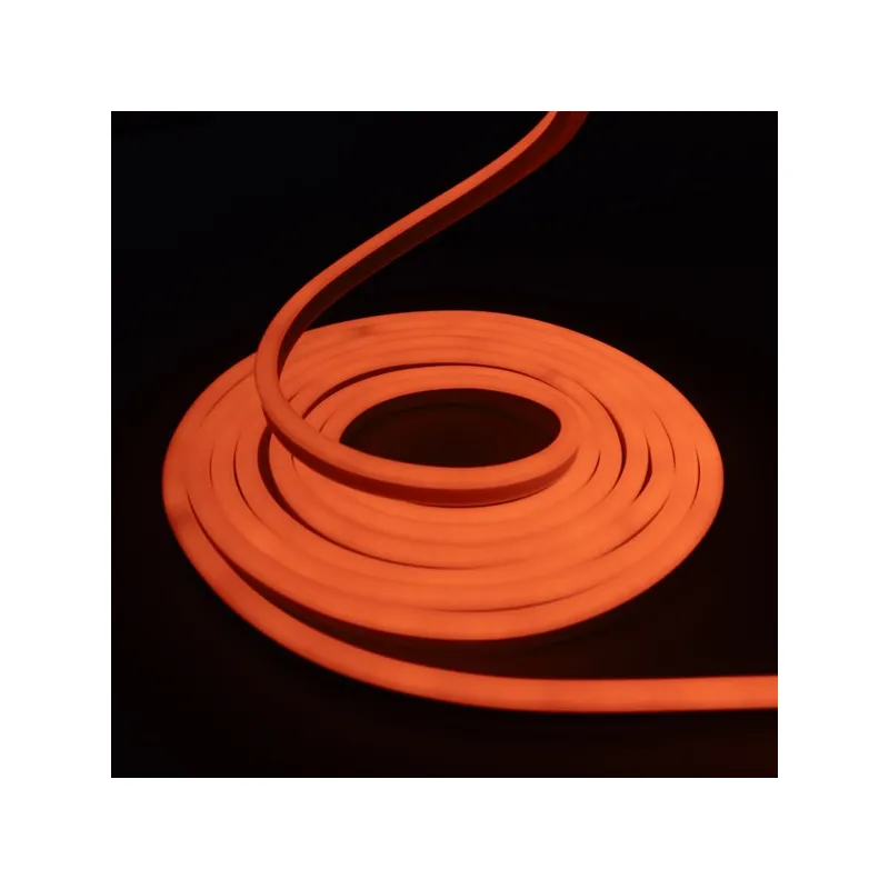 Néon flexible LED SF 12V