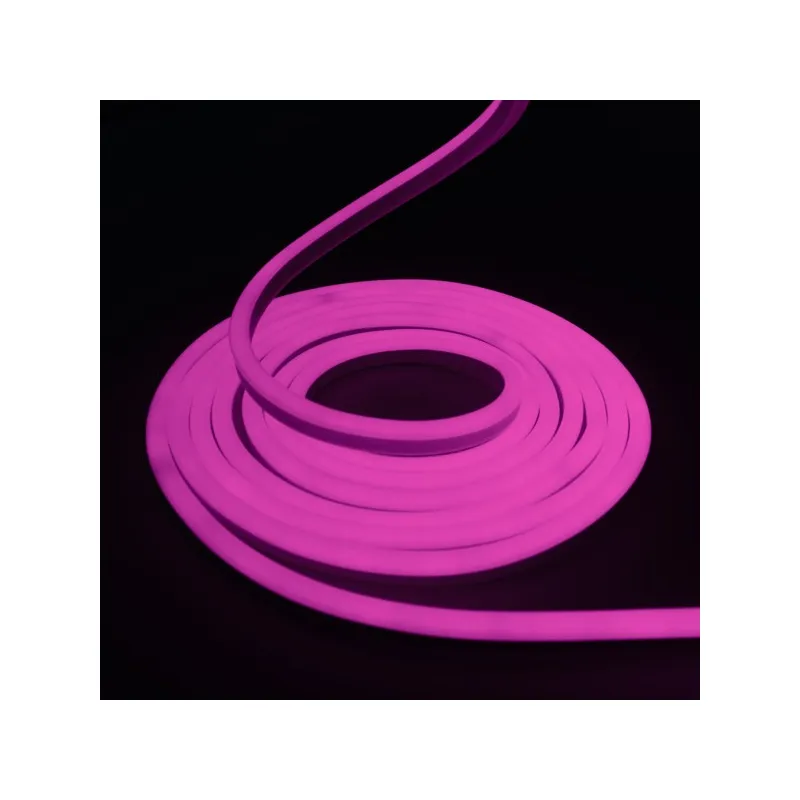 Néon flexible LED SF 12V