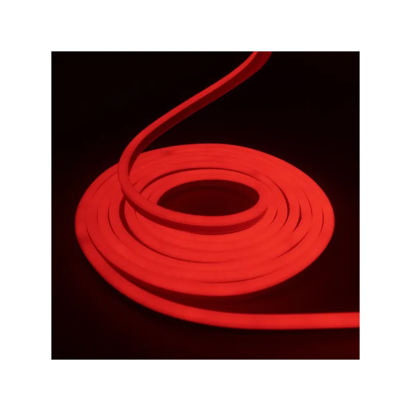 Néon flexible LED SF 12V