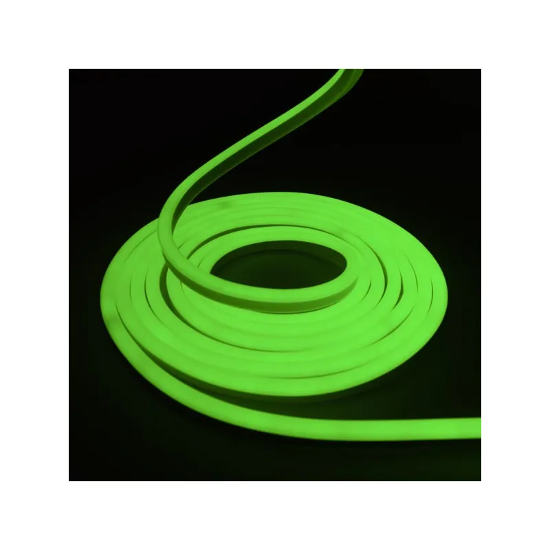 Néon flexible LED SF 12V