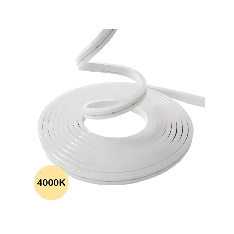 Néon flexible LED SF 12V 6mm