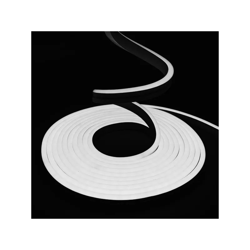 Néon flexible LED SF 12V 6mm