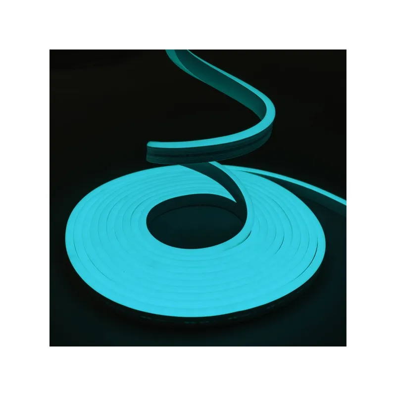 Néon flexible LED SF 12V 6mm