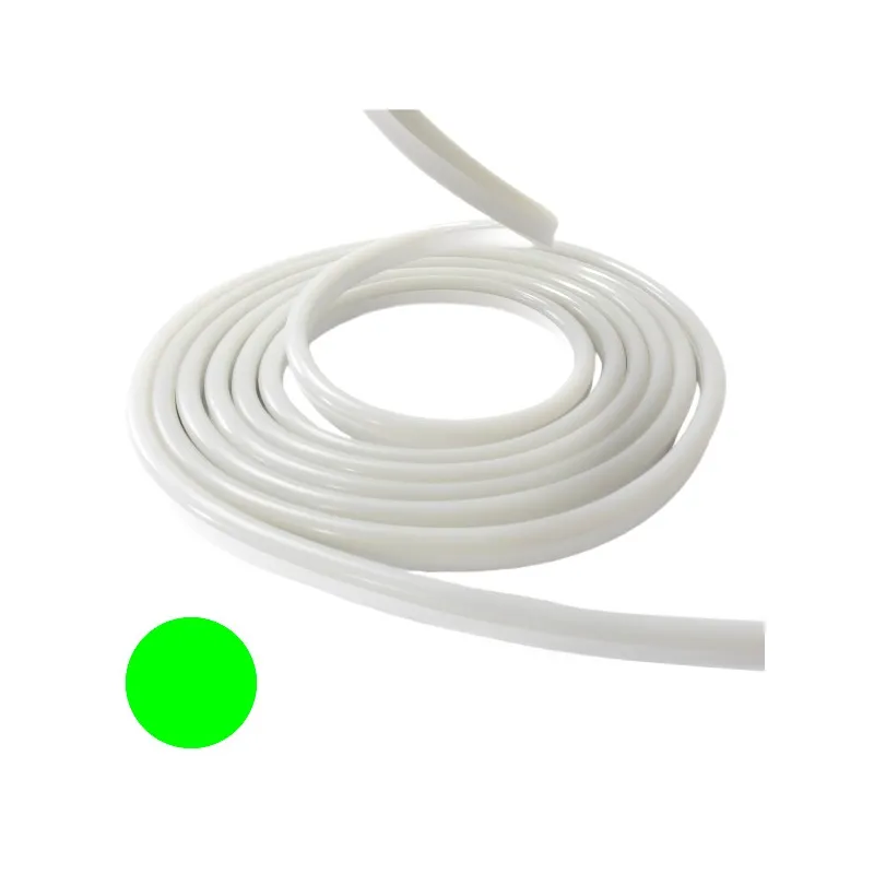 Néon flexible LED SF 12V