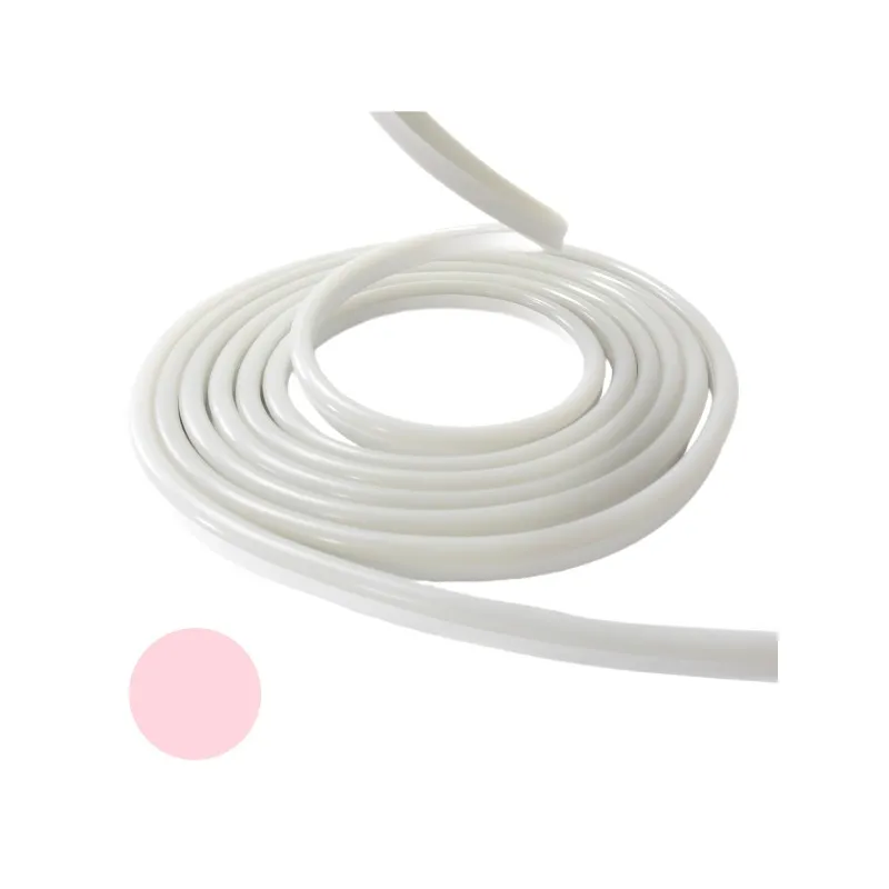 Néon flexible LED SF 12V